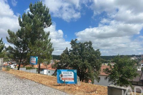 Tomt i Pombal, Leiria, Pombal - € 57 000 | Ref: 146473 - foto 10