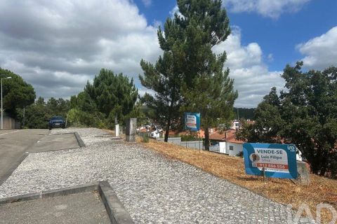 Tomt i Pombal, Leiria, Pombal - € 57 000 | Ref: 146473 - foto 11