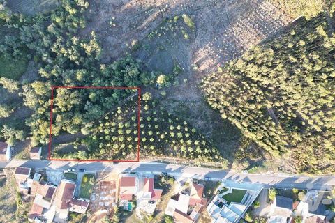 Helårsgrund i Pombal, Leiria, Pombal - € 75.000 | Ref: 743411 - foto 1