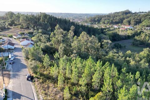 Helårsgrund i Pombal, Leiria, Pombal - € 75.000 | Ref: 743411 - foto 2