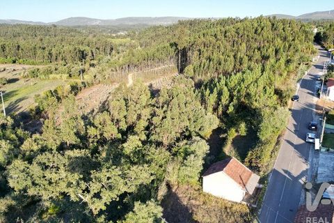 Helårsgrund i Pombal, Leiria, Pombal - € 75.000 | Ref: 743411 - foto 3