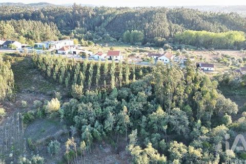 Helårsgrund i Pombal, Leiria, Pombal - € 75.000 | Ref: 743411 - foto 4