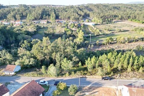 Helårsgrund i Pombal, Leiria, Pombal - € 75.000 | Ref: 743411 - foto 5