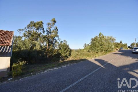 Helårsgrund i Pombal, Leiria, Pombal - € 75.000 | Ref: 743411 - foto 6