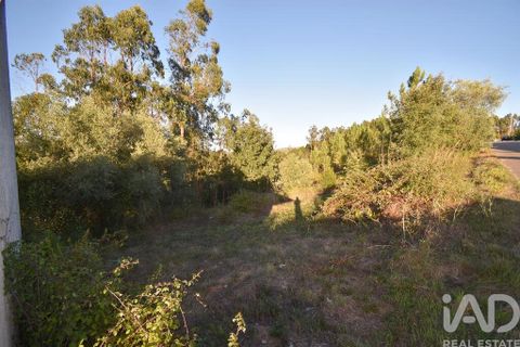 Helårsgrund i Pombal, Leiria, Pombal - € 75.000 | Ref: 743411 - foto 7