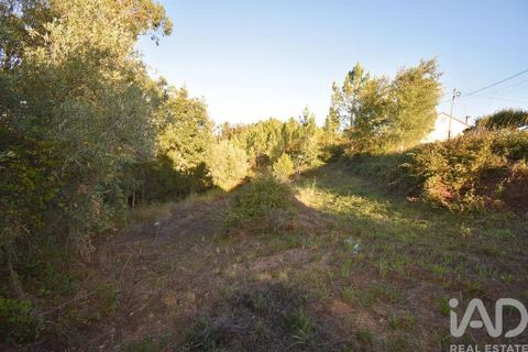 Helårsgrund i Pombal, Leiria, Pombal - € 75.000 | Ref: 743411 - foto 8