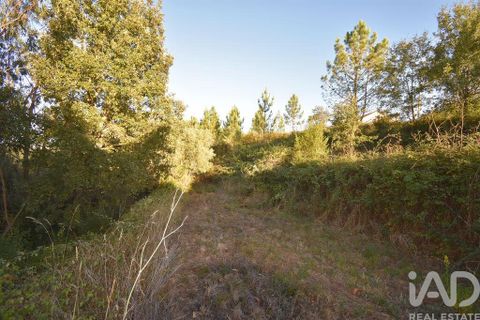 Helårsgrund i Pombal, Leiria, Pombal - € 75.000 | Ref: 743411 - foto 9