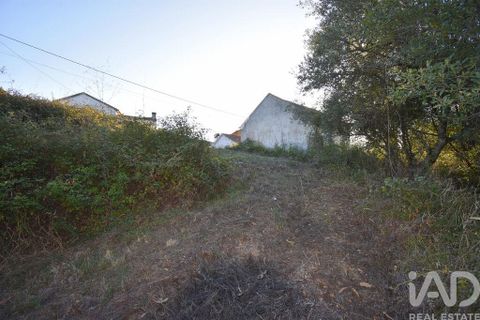Helårsgrund i Pombal, Leiria, Pombal - € 75.000 | Ref: 743411 - foto 10