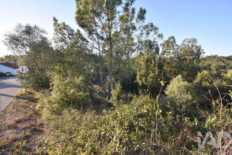 Helårsgrund i Pombal, Leiria, Pombal - € 75.000 | Ref: 743411 - foto 11