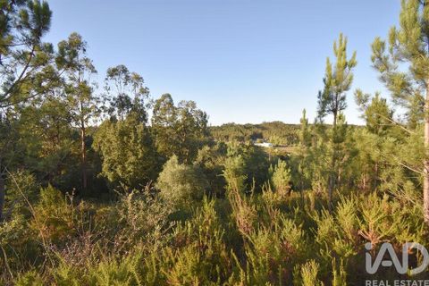 Helårsgrund i Pombal, Leiria, Pombal - € 75.000 | Ref: 743411 - foto 12