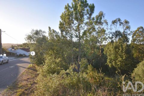 Helårsgrund i Pombal, Leiria, Pombal - € 75.000 | Ref: 743411 - foto 13