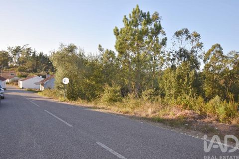 Helårsgrund i Pombal, Leiria, Pombal - € 75.000 | Ref: 743411 - foto 14