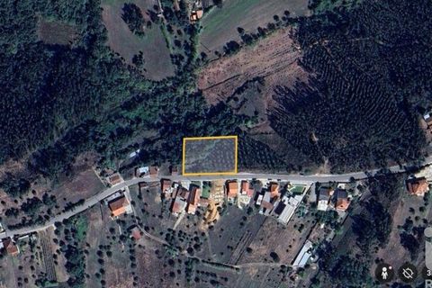 Helårsgrund i Pombal, Leiria, Pombal - € 75.000 | Ref: 743411 - foto 15