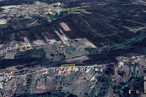 Helårsgrund i Pombal, Leiria, Pombal - € 75.000 | Ref: 743411 - foto 16
