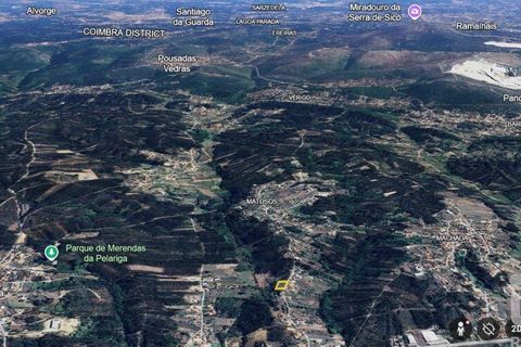 Helårsgrund i Pombal, Leiria, Pombal - € 75.000 | Ref: 743411 - foto 22