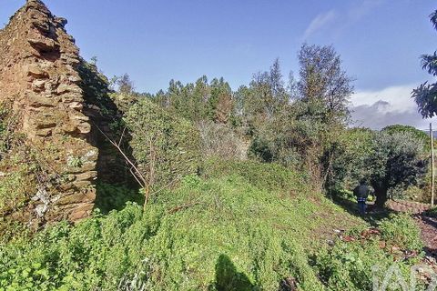 Byhus i Tomar, Santarem, Tomar - € 64.500 | Ref: 113088 - foto 7