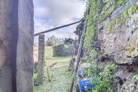 Byhus i Tomar, Santarem, Tomar - € 64.500 | Ref: 113088 - foto 20