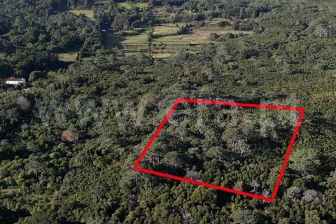 Helårsgrund i Sao Roque do Pico, Pico, Sao Roque do Pico - € 45.000 | Ref: 374250237 - foto 2