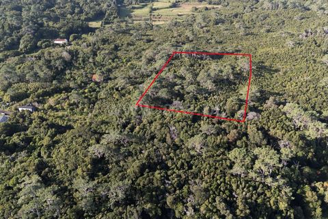 Helårsgrund i Sao Roque do Pico, Pico, Sao Roque do Pico - € 45.000 | Ref: 374250237 - foto 3
