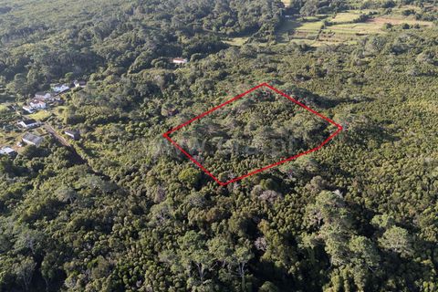 Helårsgrund i Sao Roque do Pico, Pico, Sao Roque do Pico - € 45.000 | Ref: 374250237 - foto 4