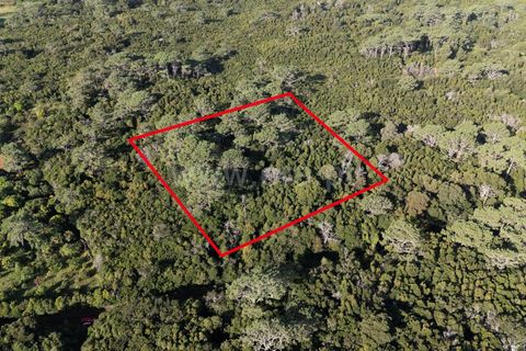 Helårsgrund i Sao Roque do Pico, Pico, Sao Roque do Pico - € 45.000 | Ref: 374250237 - foto 5