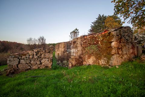 Farm hus i Mangualde, Viseu, Mangualde - € 70.000 | Ref: ITH3874 - foto 4