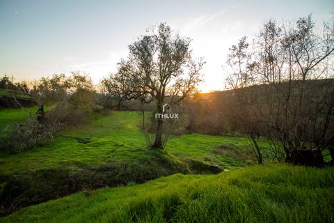 Farm hus i Mangualde, Viseu, Mangualde - € 70.000 | Ref: ITH3874 - foto 9