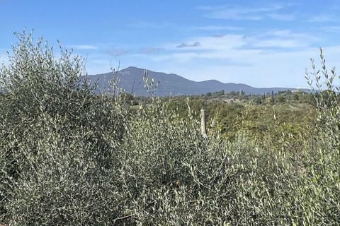 Villa i Fabro, Terni, Fabro - € 118.000 | Ref: OR5315M-716350 - foto 5