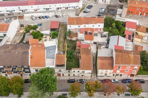 Terra a Cantanhede, Coimbra, Cantanhede - € 200.000 | Ref: LUX_CB-01171 - foto 2
