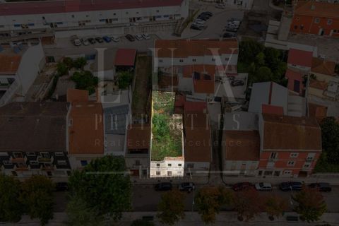 Terra a Cantanhede, Coimbra, Cantanhede - € 200.000 | Ref: LUX_CB-01171 - foto 3