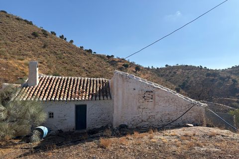 Landejendom i Almogia, Malaga, Almogia - € 170.000 | Ref: 98a6d9b2-fa8f-4a06-b - foto 31