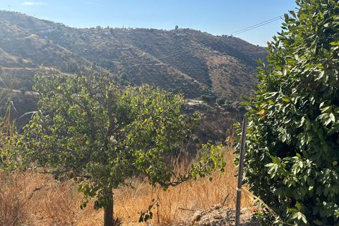 Landejendom i Almogia, Malaga, Almogia - € 170.000 | Ref: 98a6d9b2-fa8f-4a06-b - foto 35