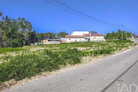 Helårsgrund i Leiria, Leiria, Leiria - € 115.000 | Ref: 736599 - foto 5