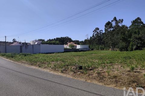Helårsgrund i Leiria, Leiria, Leiria - € 115.000 | Ref: 736599 - foto 2