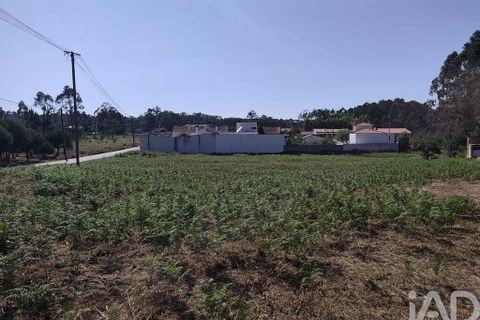 Helårsgrund i Leiria, Leiria, Leiria - € 115.000 | Ref: 736599 - foto 9
