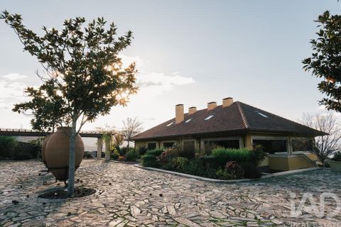 Farm i Armamar, Viseu, Armamar - € 15.000.000 | Ref: 130045 - foto 8