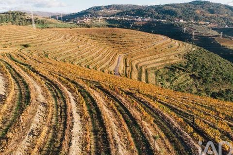 Farm i Armamar, Viseu, Armamar - € 15.000.000 | Ref: 130045 - foto 22