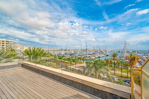 Lägenhet i Palma De Mallorca, Mallorca - foto 1