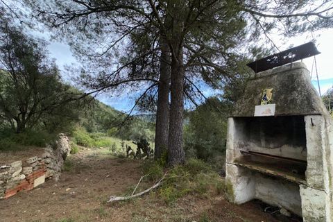 Landejendom i Enguera, Valencia, Enguera - € 295.000 | Ref: RP114/8469 - foto 19