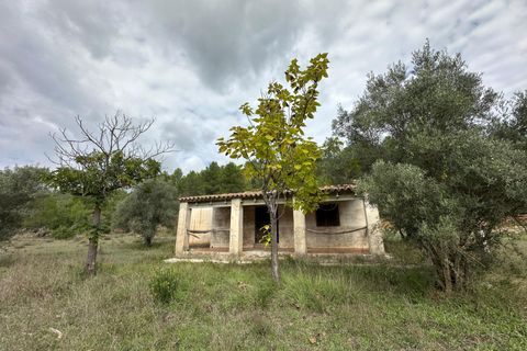 Landejendom i Enguera, Valencia, Enguera - € 295.000 | Ref: RP114/8469 - foto 23