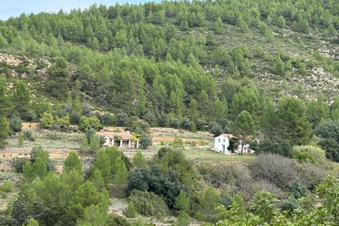 Landejendom i Enguera, Valencia, Enguera - € 295.000 | Ref: RP114/8469 - foto 31