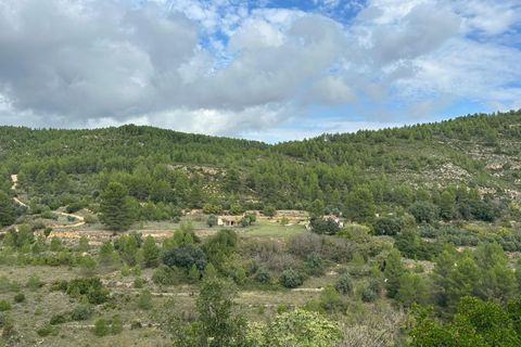 Landejendom i Enguera, Valencia, Enguera - € 295.000 | Ref: RP114/8469 - foto 34