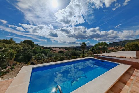 Finca i Estepona, Malaga - foto 1