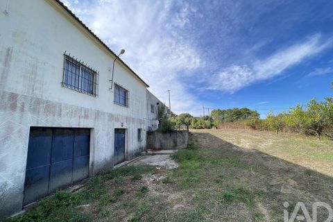 Erhvervsejendom i Tomar, Santarem, Tomar - € 390.000 | Ref: 152259 - foto 27