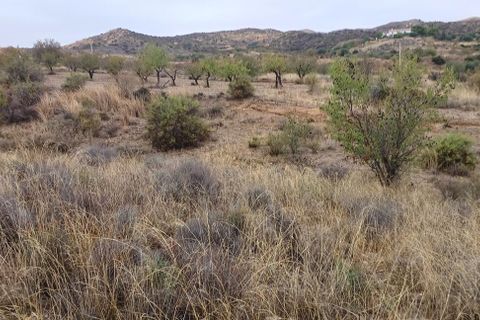 Terra a Urcal, Almeria, Urcal - € 7.000 | Ref: R22333 - foto 4
