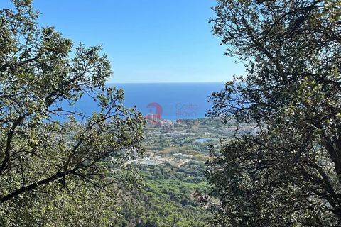 Terra a Platja D'aro, Gerona, Platja D'aro - € 200.000 | Ref: CBF6076 - foto 11