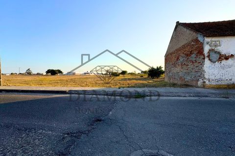 Helårsgrund i Alpiarca, Santarem, Alpiarca - € 75.000 | Ref: DHTU-0044/25 - foto 2