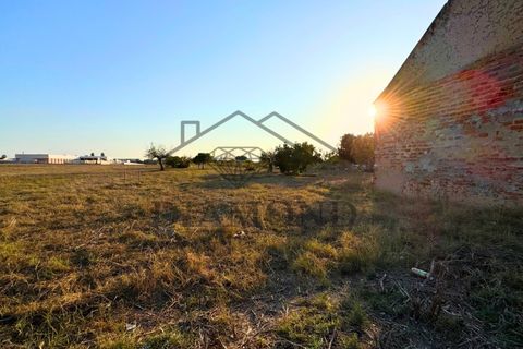 Helårsgrund i Alpiarca, Santarem, Alpiarca - € 75.000 | Ref: DHTU-0044/25 - foto 3
