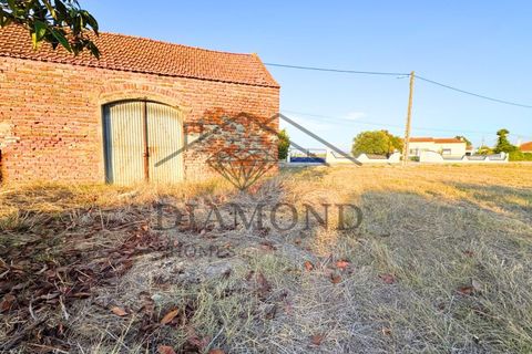 Helårsgrund i Alpiarca, Santarem, Alpiarca - € 75.000 | Ref: DHTU-0044/25 - foto 4