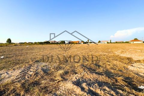 Helårsgrund i Alpiarca, Santarem, Alpiarca - € 75.000 | Ref: DHTU-0044/25 - foto 5